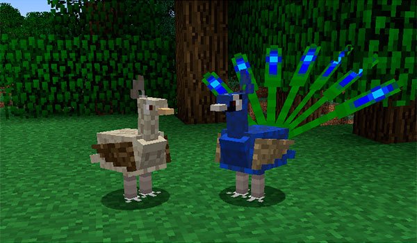 two copies of birds find your Minecraft worlds, with this mod installed.
